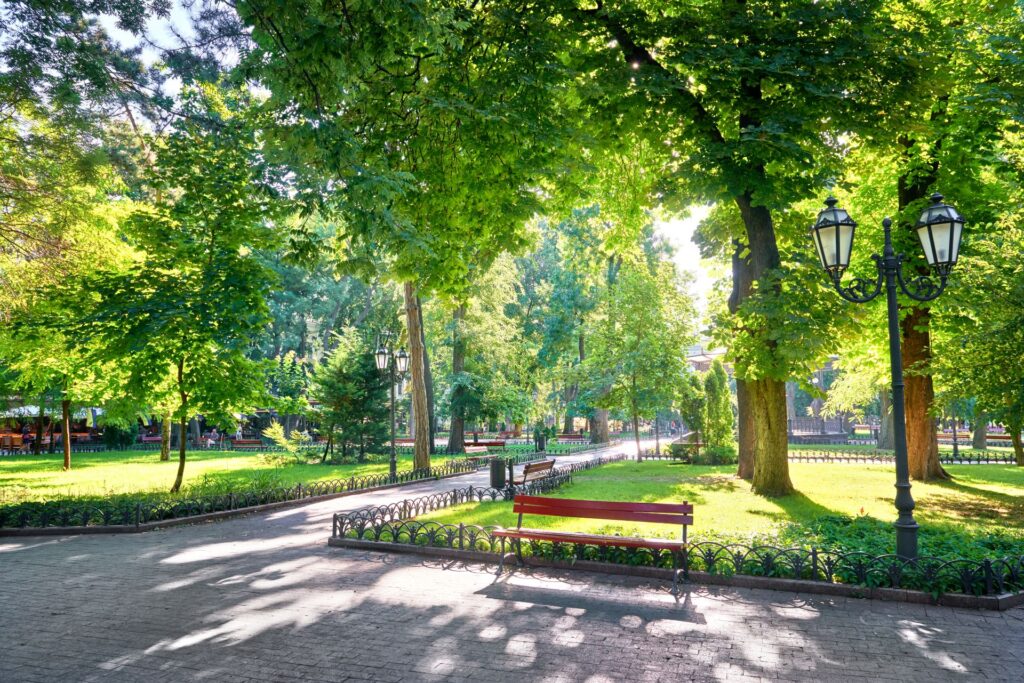 Sonnendurchfluteter Stadtpark mit üppigem Grün und einer Parkbank im Vordergrund. Die Bank steht unter schattenspendenden Bäumen, umgeben von gepflegten Wegen und historischen Laternen.